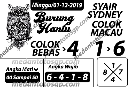 burung%20hantu%20sydney.jpg