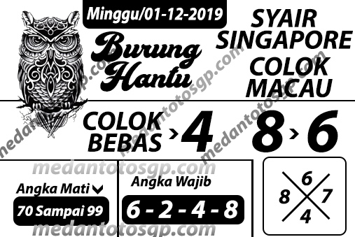 burung%20hantu%20singapore.jpg